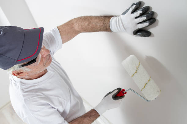 Best Attic Mold Removal  in Loves Park, IL