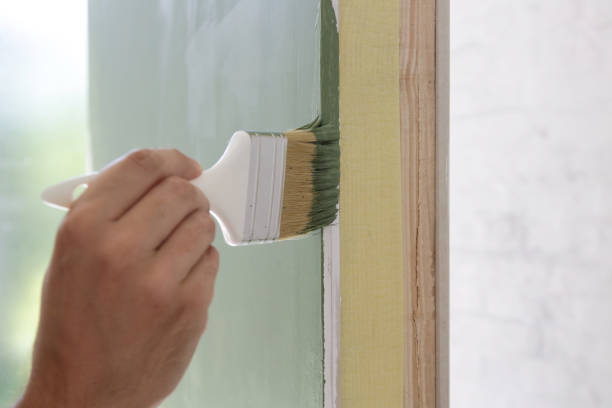 Best Post-Construction Mold Inspection  in Loves Park, IL