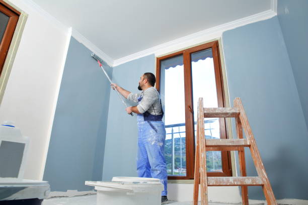 Best Water Damage & Mold Remediation  in Loves Park, IL