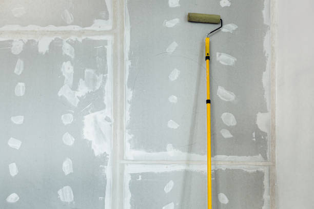 Mold Odor Removal Services in Loves Park, IL