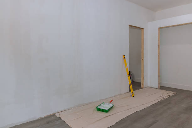 Best Comprehensive Air Testing for Mold Contaminants  in Loves Park, IL
