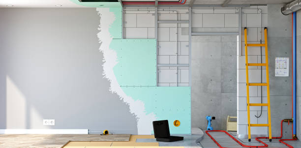 Best Asbestos and Lead Testing During Mold Inspection  in Loves Park, IL