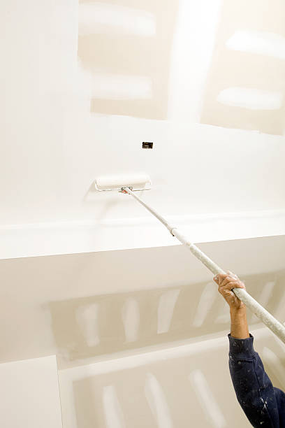 Best Residential Mold Inspection & Testing  in Loves Park, IL