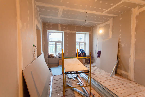 Best Commercial Mold Inspection  in Loves Park, IL